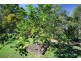58 Cromarty  Road, Cromarty QLD 4809