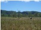 Clairview QLD 4741