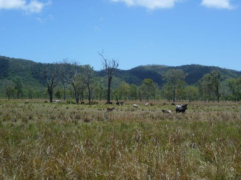 Clairview QLD 4741