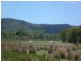Clairview QLD 4741