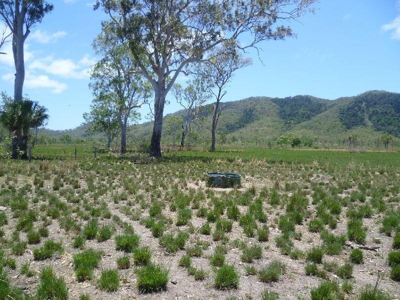 Clairview QLD 4741