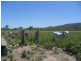 Clairview QLD 4741
