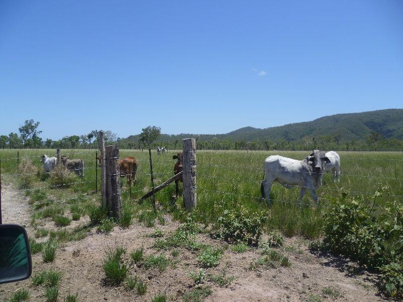 Clairview QLD 4741