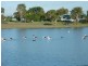 12 Ramtron Place, Ayr QLD 4807