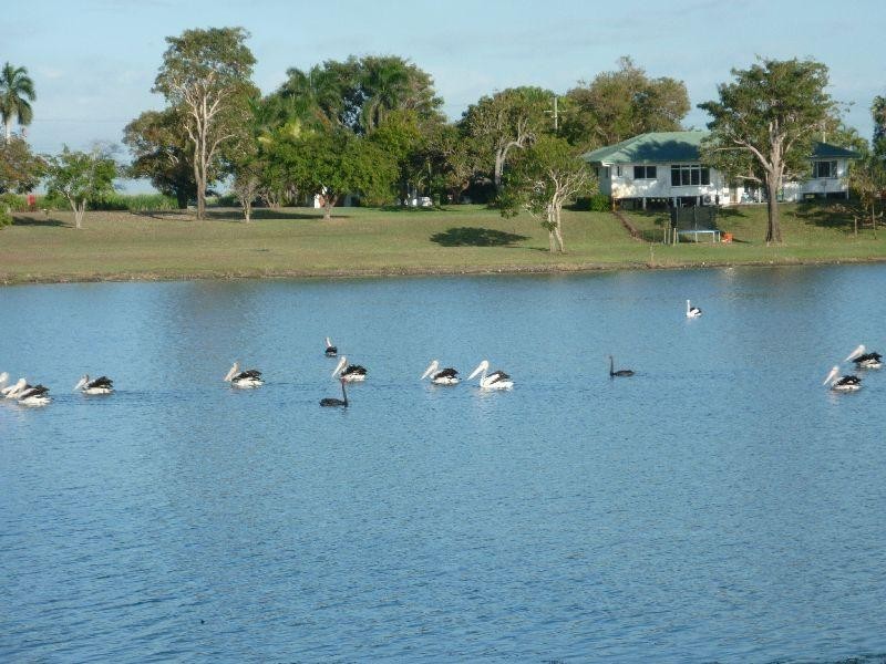 12 Ramtron Place, Ayr QLD 4807