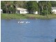 12 Ramtron Place, Ayr QLD 4807