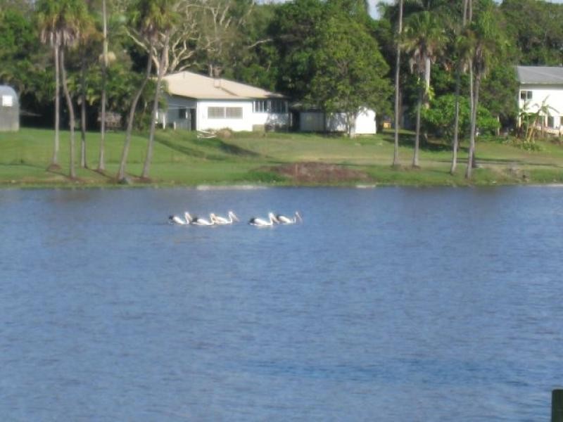 12 Ramtron Place, Ayr QLD 4807