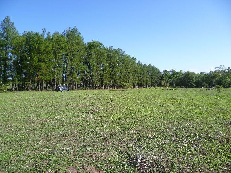 Mount Surround QLD 4809