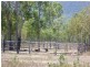 Majors Creek QLD 4816