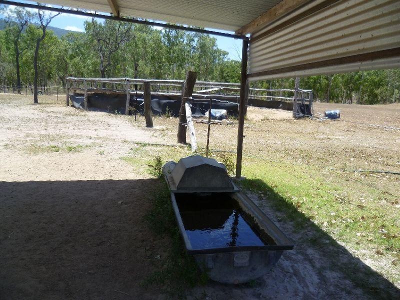Majors Creek QLD 4816