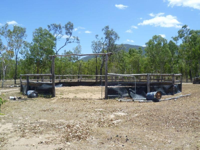 Majors Creek QLD 4816