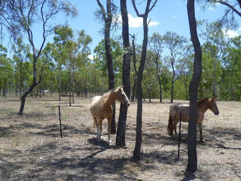 Majors Creek QLD 4816