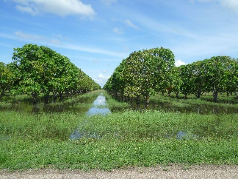 104 Trembath Road, Horseshoe Lagoon QLD 4809