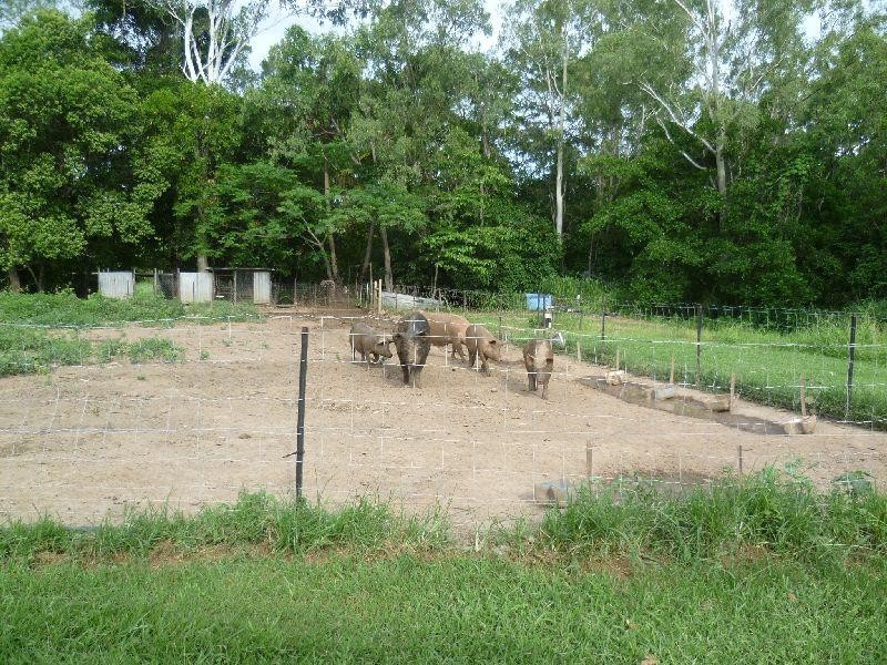 Mount Surround QLD 4809