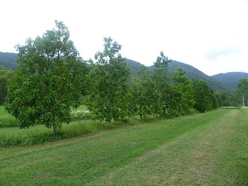 Mount Surround QLD 4809