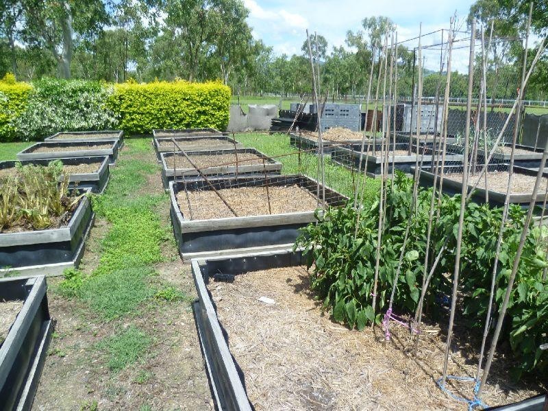 4 Kavenagh Court, Oak Valley QLD 4811