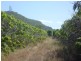 77 Juanita Drive, Mount Kelly QLD 4807