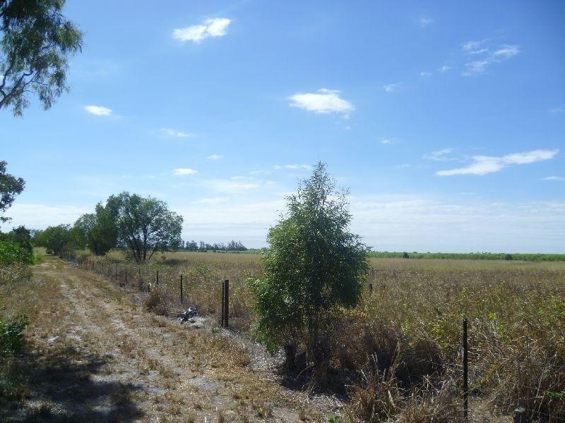 5 Elisa Road, Mount Kelly QLD 4807