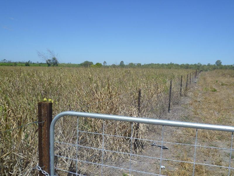 5 Elisa Road, Mount Kelly QLD 4807