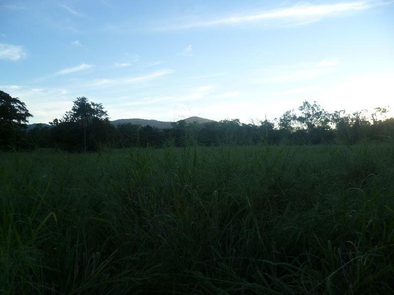 44795 Bruce Highway, Mutarnee QLD 4816