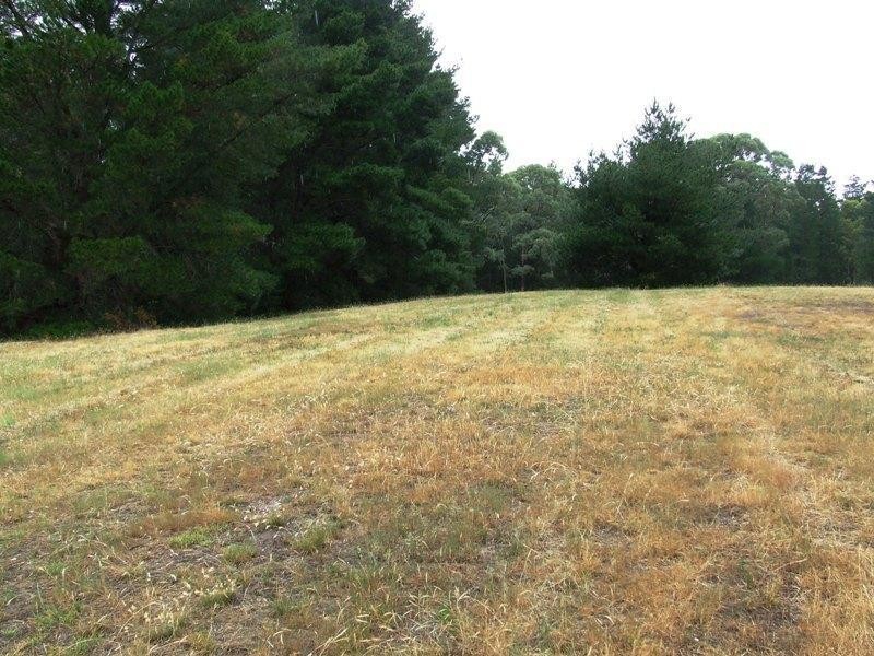 Lot 2, 37 King Street, Creswick VIC 3363