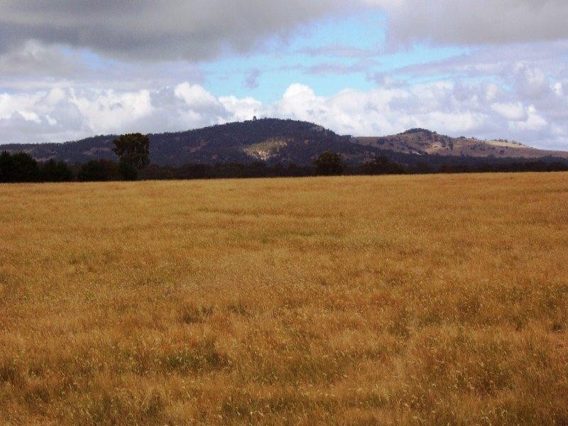 125 Fairview Drive CLUNES 3370, Clunes VIC 3370
