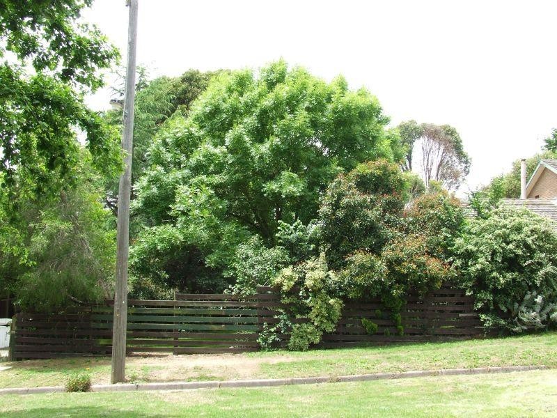 28a Cambridge  Street CRESWICK 3363, Creswick VIC 3363