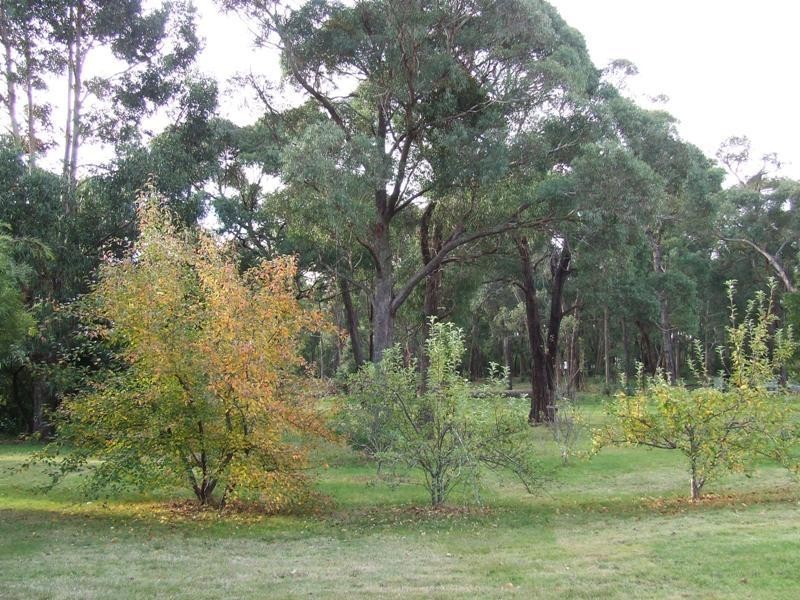 Lot 1 9 Whitehills Road, Creswick VIC 3363