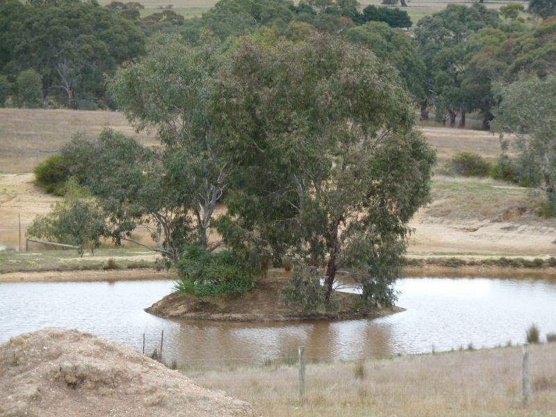 165 Kierces Road CLUNES 3370, Clunes VIC 3370