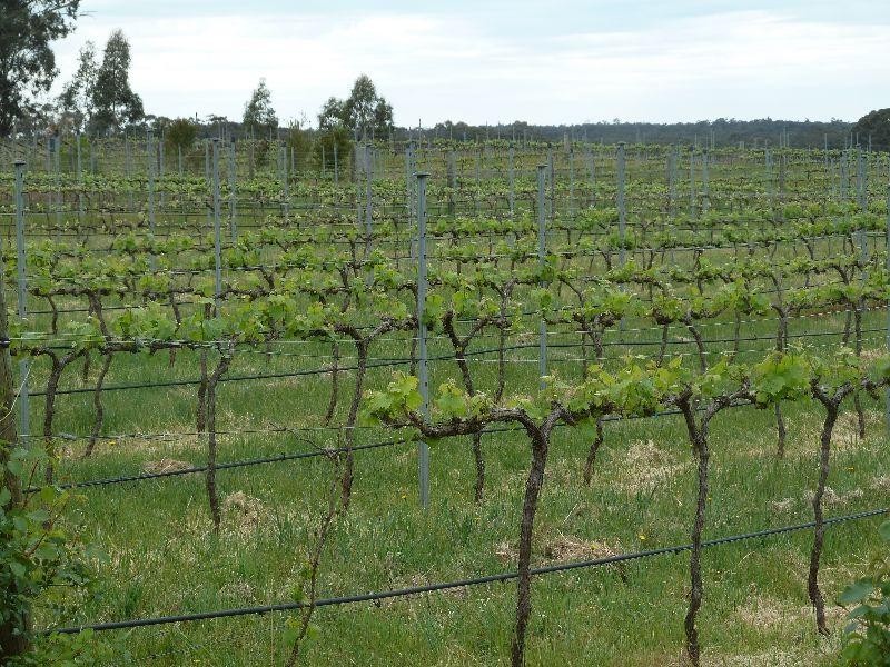 280 Lillicur  Road AMHERST 3371, Amherst VIC 3371