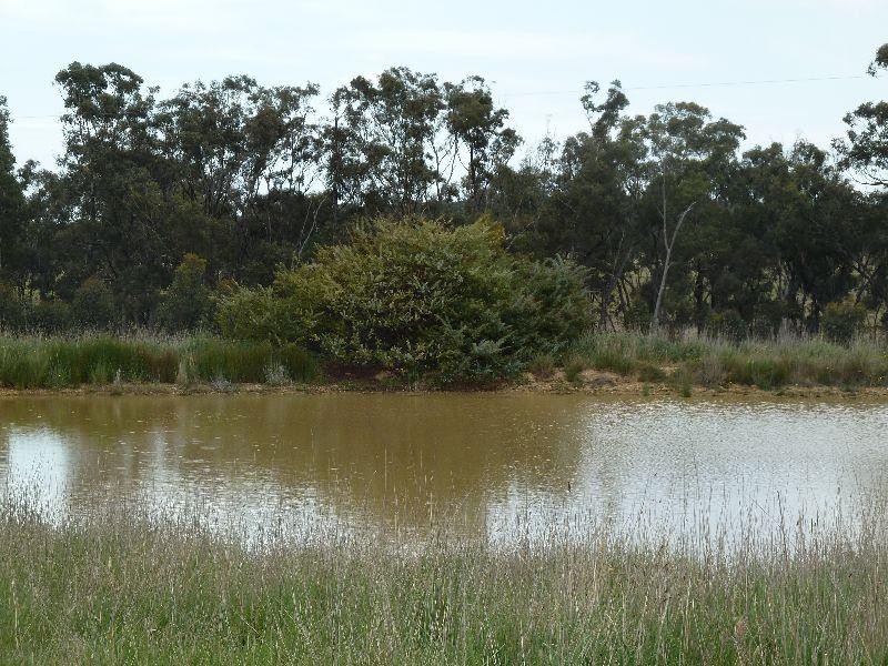 280 Lillicur  Road AMHERST 3371, Amherst VIC 3371