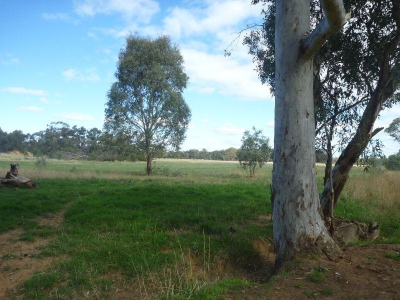 66 Wanlace Road, Majorca  TALBOT 3371, Talbot VIC 3371