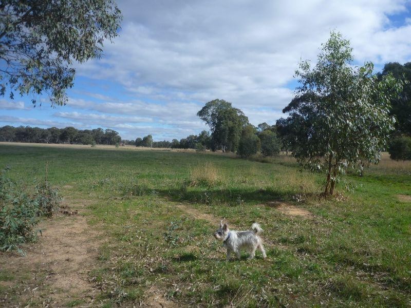 66 Wanlace Road, Majorca  TALBOT 3371, Talbot VIC 3371