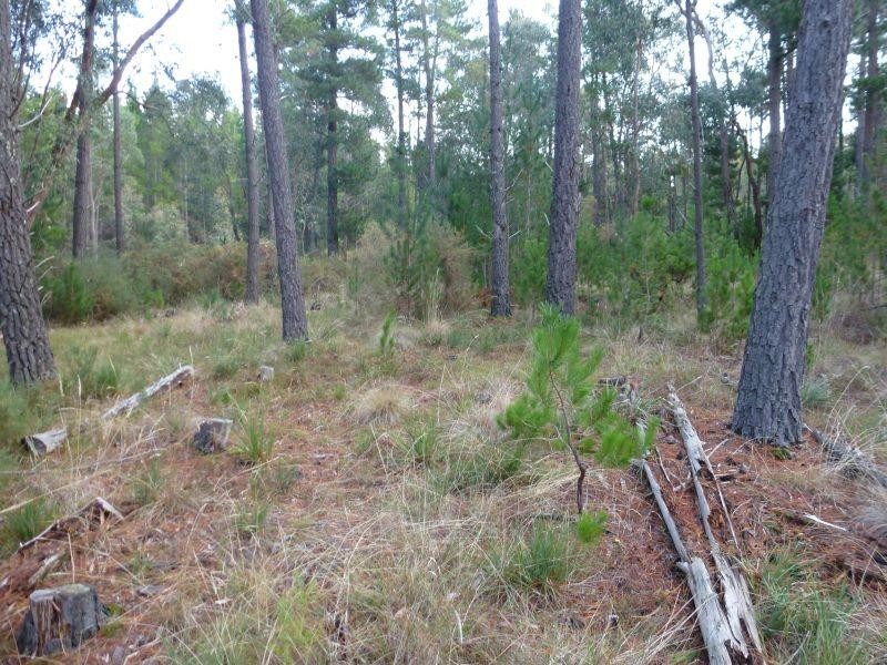 61 Pollards Lane CRESWICK 3363, Creswick VIC 3363