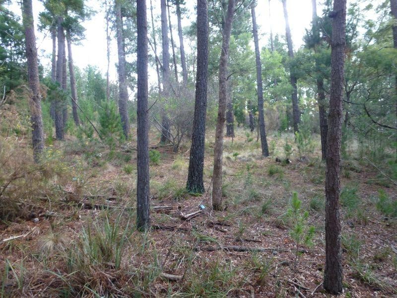 61 Pollards Lane CRESWICK 3363, Creswick VIC 3363