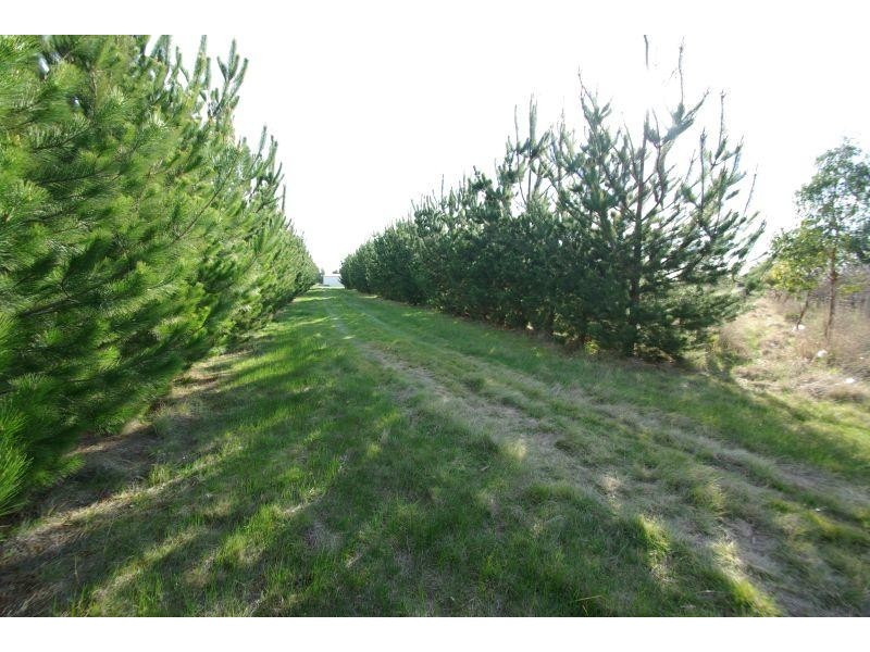 160 Creswick Road CLUNES 3370, Clunes VIC 3370