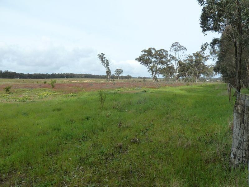 145 Lillicur Road, Amherst  TALBOT 3371, Talbot VIC 3371