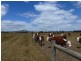 4000-4010 Creswick Newstead  Road, Allendale VIC 3364