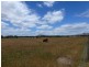 4000-4010 Creswick Newstead  Road, Allendale VIC 3364