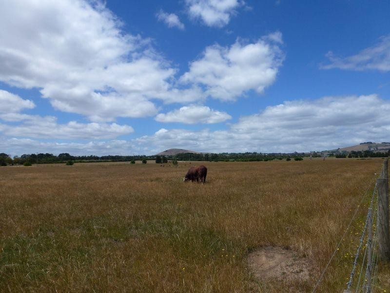 4000-4010 Creswick Newstead  Road, Allendale VIC 3364