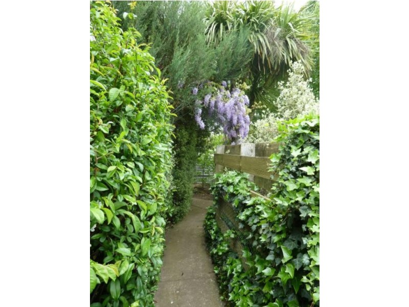 18 Angus Street, Clunes VIC 3370