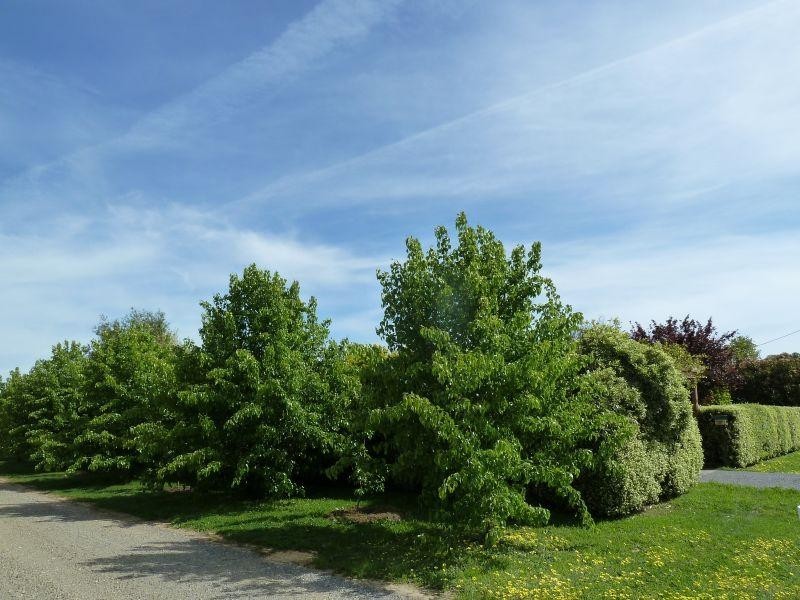 18 Angus Street, Clunes VIC 3370