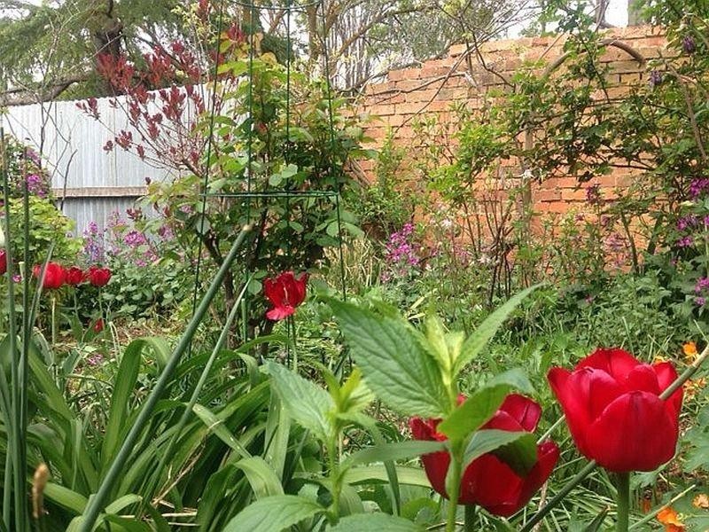 19 Fraser Street, Clunes VIC 3370