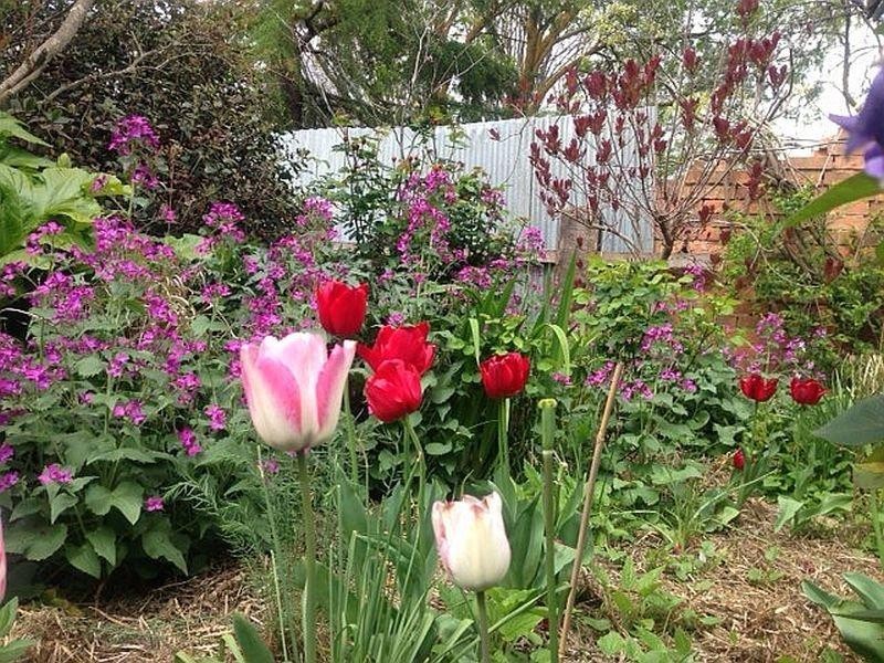 19 Fraser Street, Clunes VIC 3370