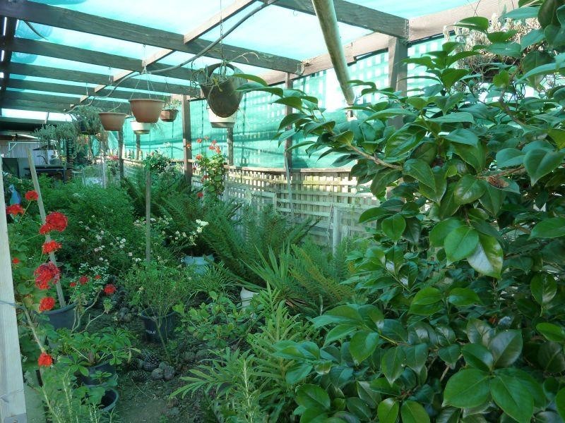 1230 McCallums Creek Road, Talbot VIC 3371