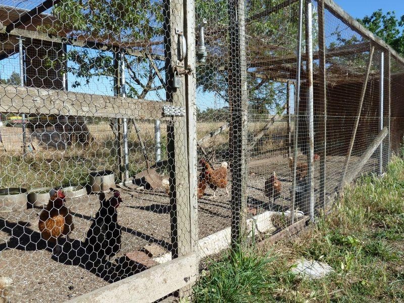 1230 McCallums Creek Road, Talbot VIC 3371