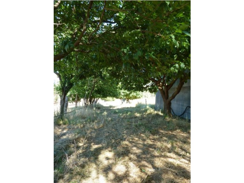 1230 McCallums Creek Road, Talbot VIC 3371