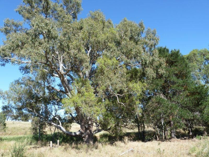 1230 McCallums Creek Road, Talbot VIC 3371