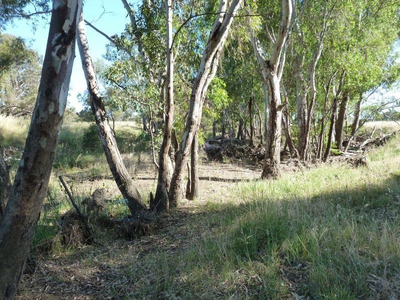 1230 McCallums Creek Road, Talbot VIC 3371