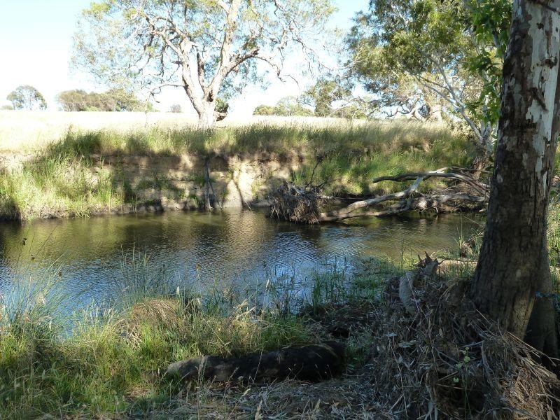 1230 McCallums Creek Road, Talbot VIC 3371